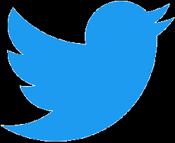 Twitter CLI Logo